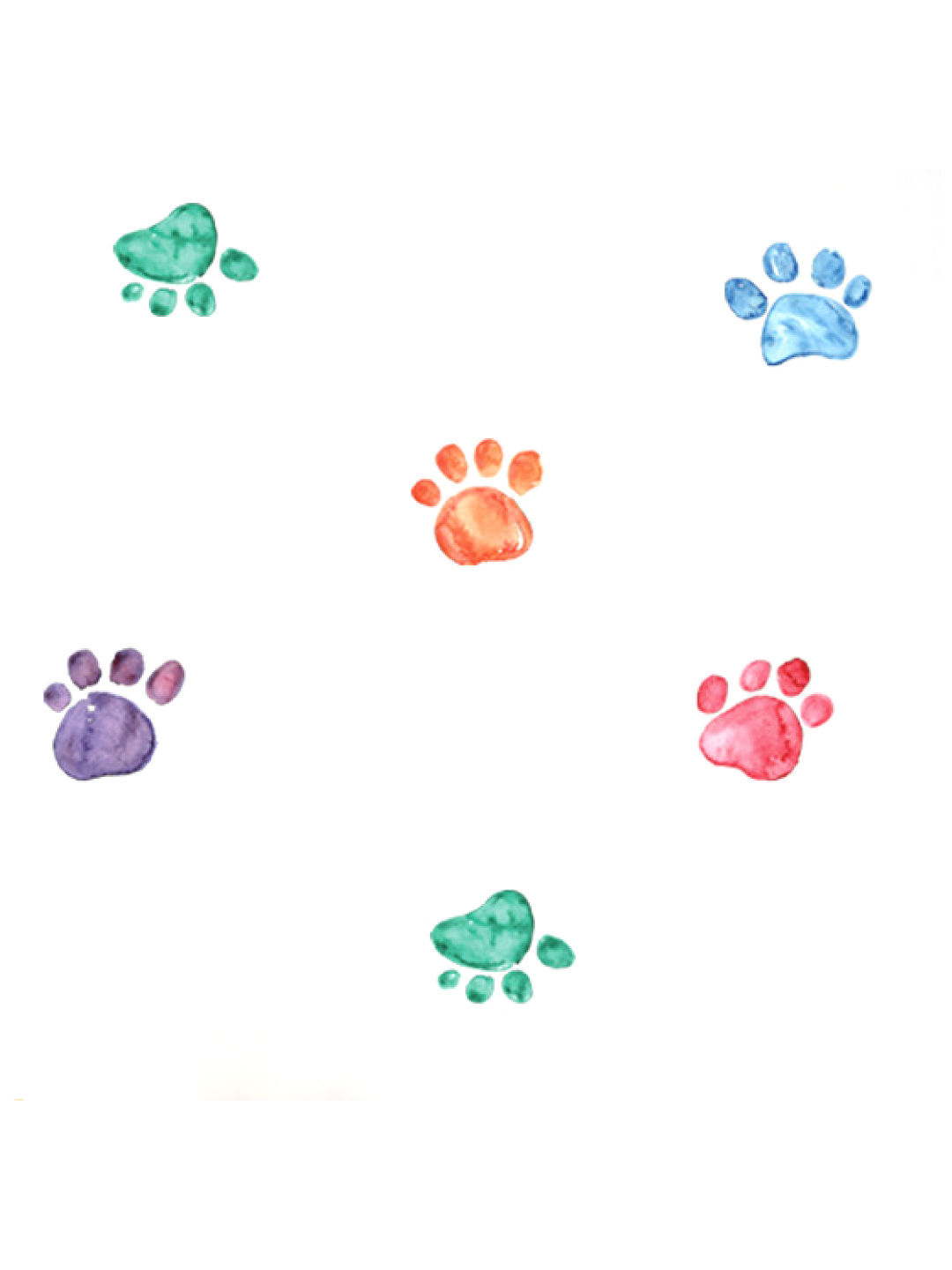 Baboo Basix The Prints and the Paw-per Peel and Stick DIY Wall Decals (No Color- Image 1)