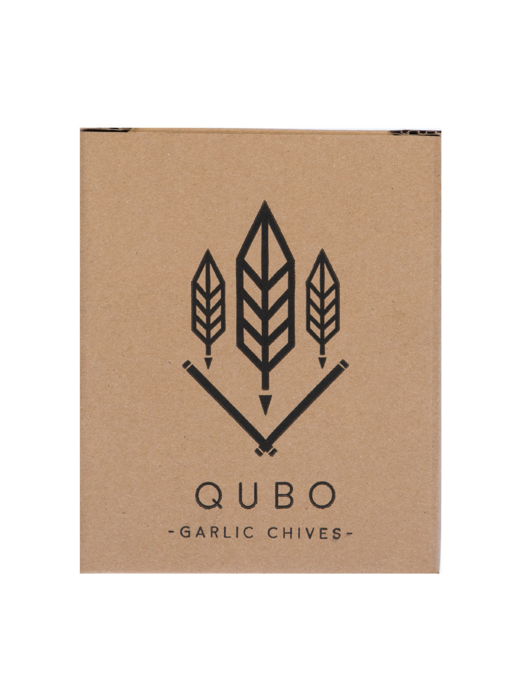 Qubo PH Garlic Chives DIY Garden Kit (No Color- Image 3)