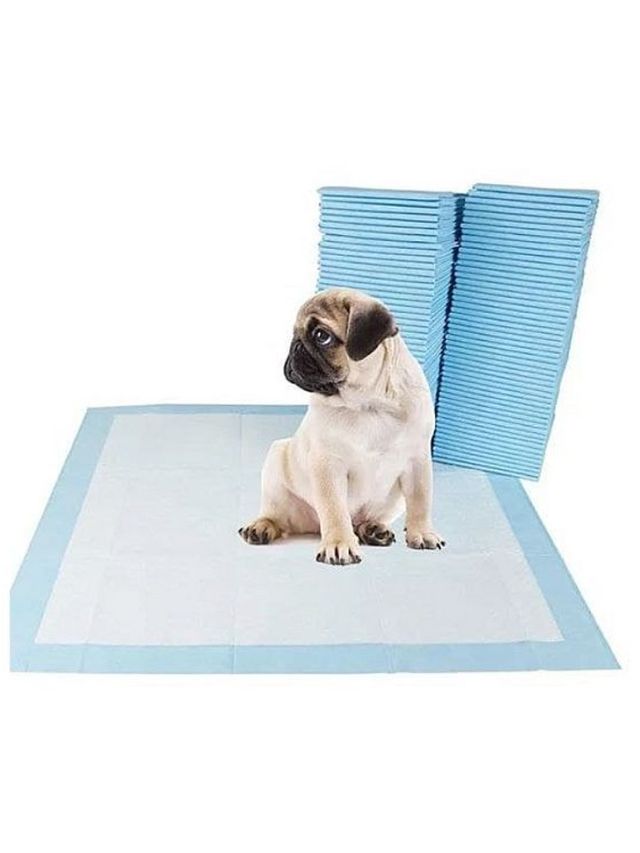 QT Hub Dog Training Pad for Pet