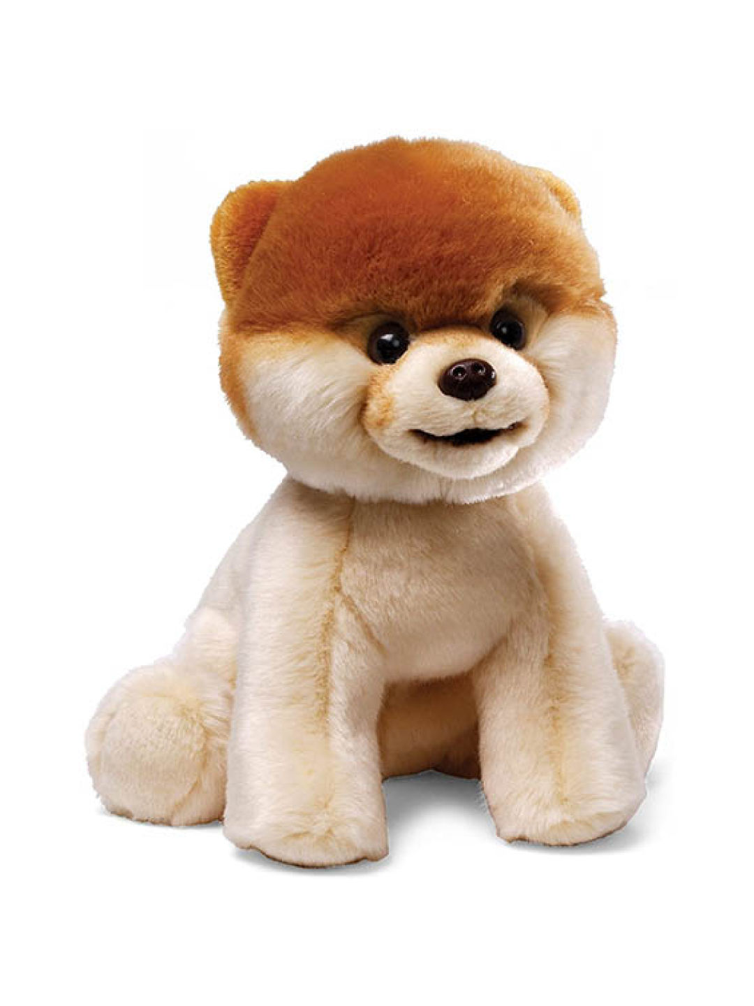 Gund Boo - The World Cutest Dog (9 in) (No Color- Image 1)
