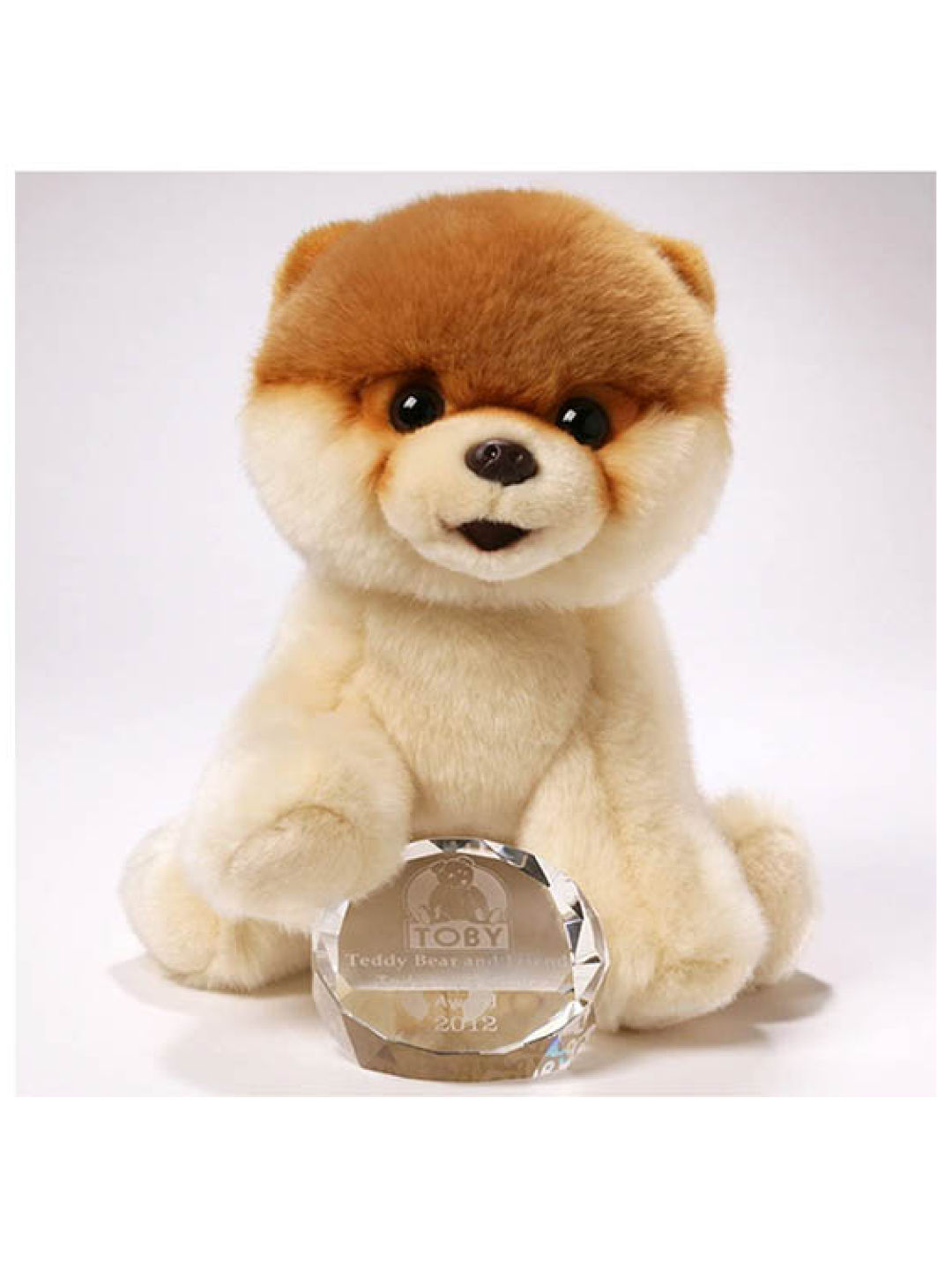 Gund Boo - The World Cutest Dog (9 in) (No Color- Image 2)