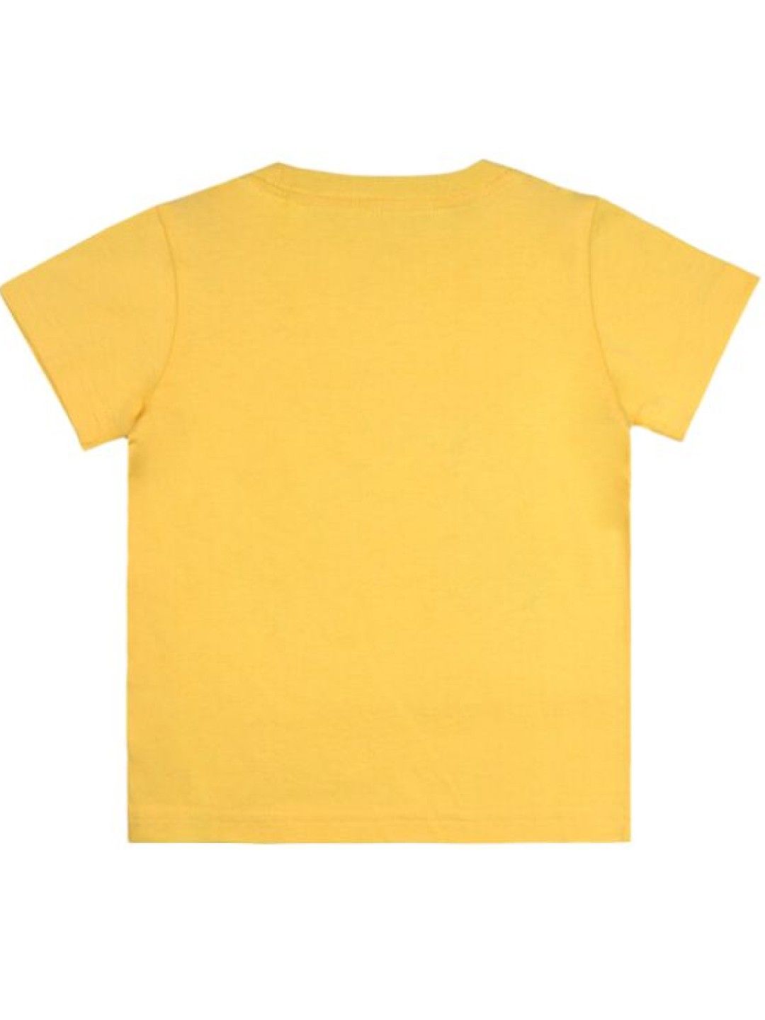 Grizzly Boys Short sleeve Round neck tees with Graphic Print (Yellow- Image 2)