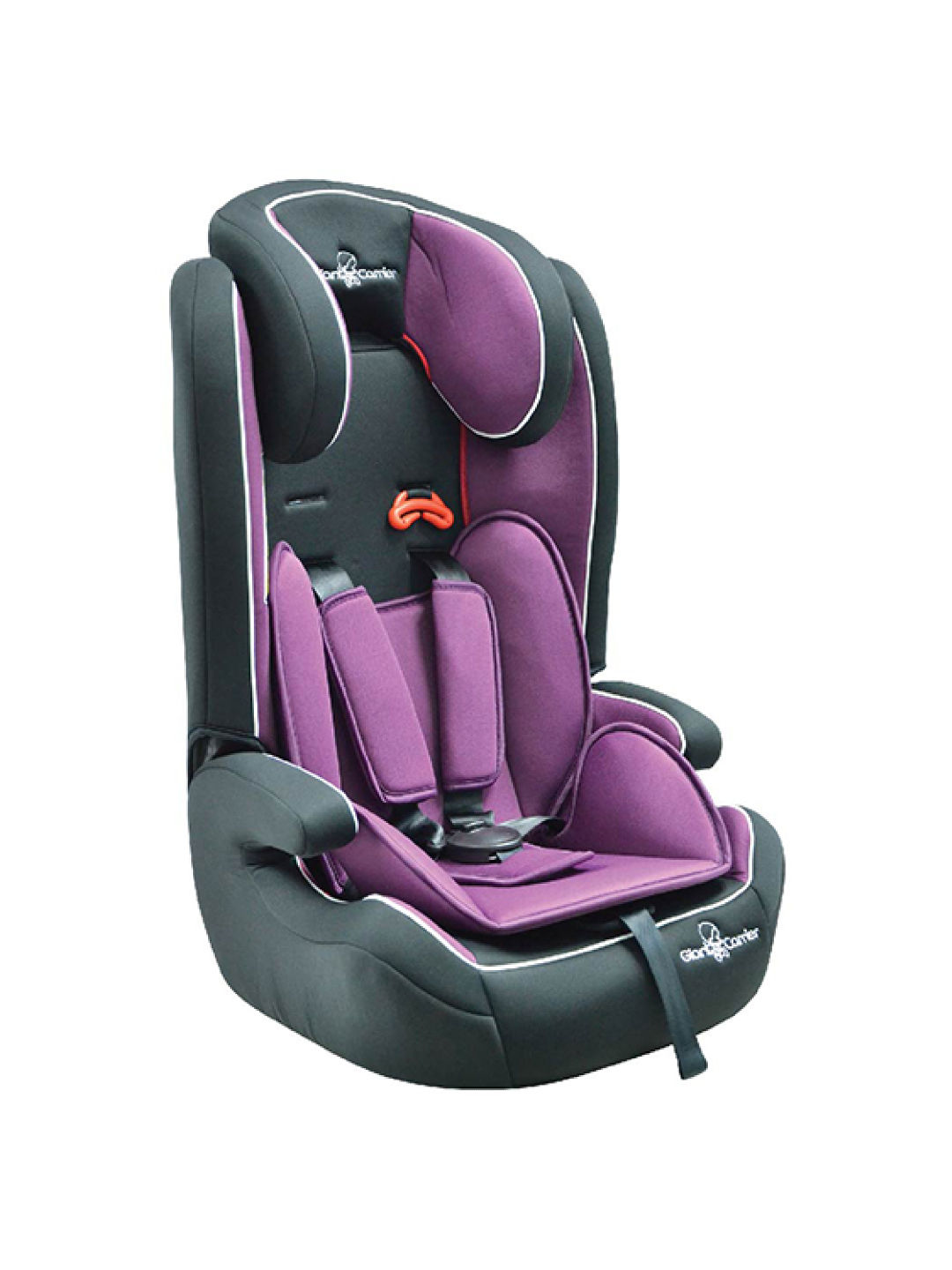 Car seat and carrier best sale