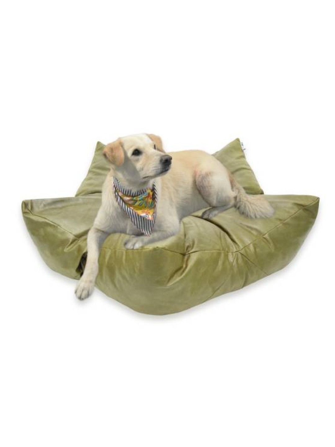 PUPKITS Premium Pet Bed (Olive Green Star- Image 4)